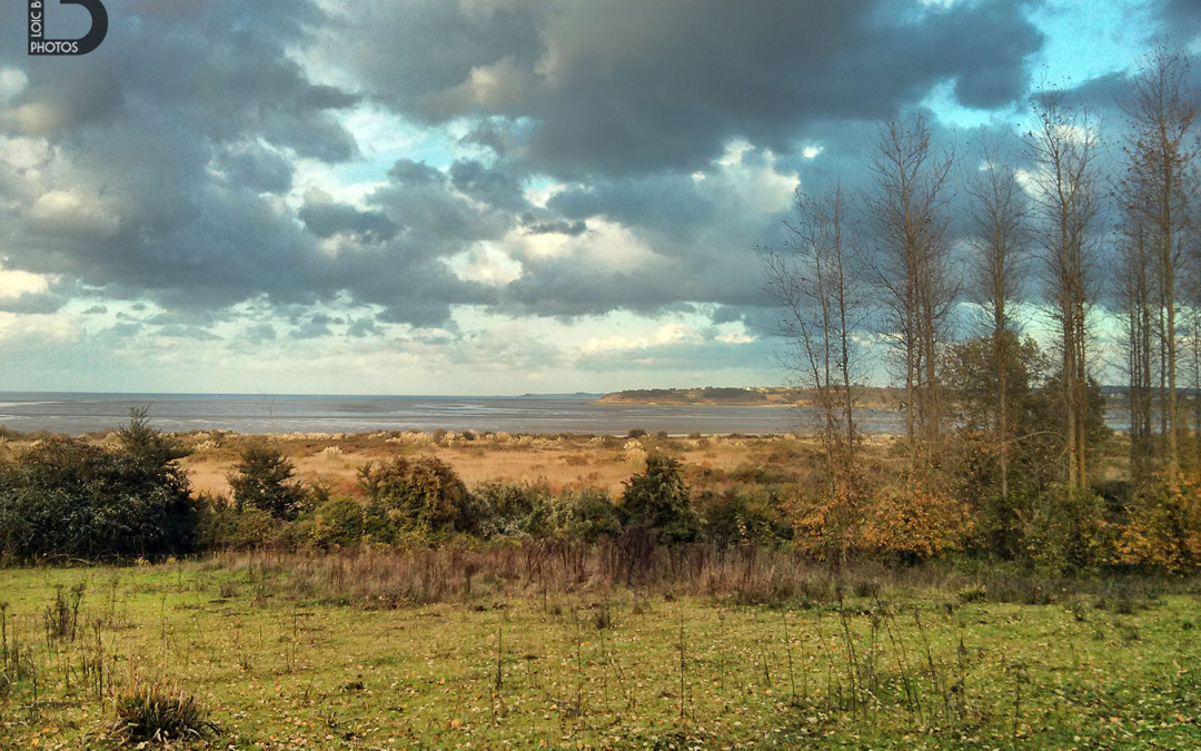 Peinture naturelle sur la baie